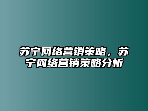 蘇寧網(wǎng)絡(luò)營(yíng)銷策略，蘇寧網(wǎng)絡(luò)營(yíng)銷策略分析