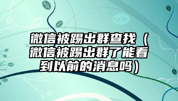 微信被踢出群查找（微信被踢出群了能看到以前的消息嗎）