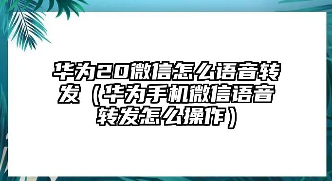 華為20微信怎么語音轉(zhuǎn)發(fā)（華為手機微信語音轉(zhuǎn)發(fā)怎么操作）