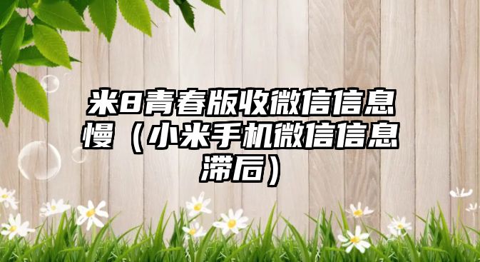 米8青春版收微信信息慢（小米手機(jī)微信信息滯后）