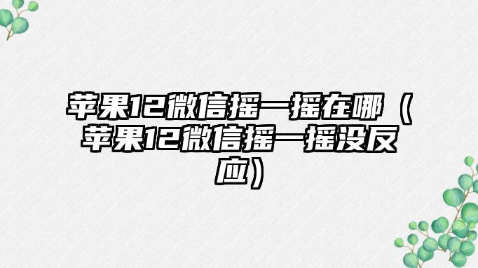 蘋果12微信搖一搖在哪（蘋果12微信搖一搖沒反應(yīng)）