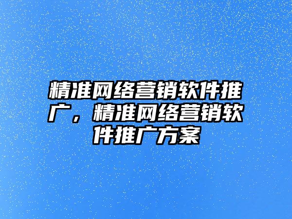 精準網絡營銷軟件推廣，精準網絡營銷軟件推廣方案