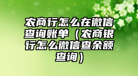 農(nóng)商行怎么在微信查詢賬單（農(nóng)商銀行怎么微信查余額查詢）