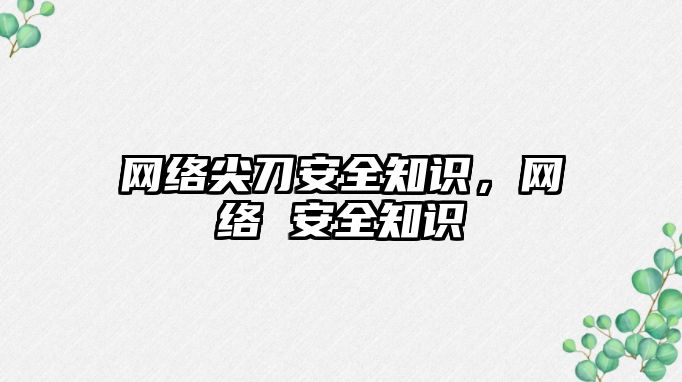 網絡尖刀安全知識，網絡 安全知識