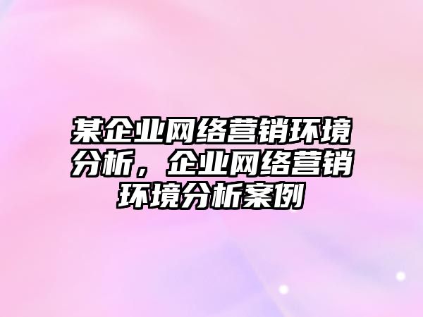 某企業(yè)網絡營銷環(huán)境分析，企業(yè)網絡營銷環(huán)境分析案例