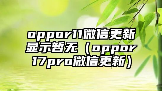 oppor11微信更新顯示暫無（oppor17pro微信更新）