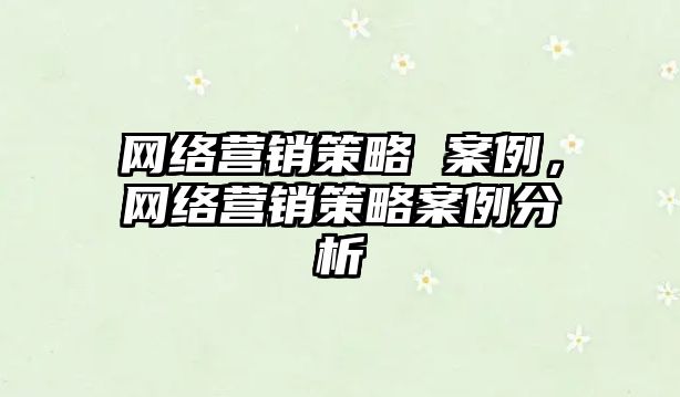 網(wǎng)絡營銷策略 案例，網(wǎng)絡營銷策略案例分析