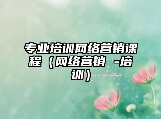 專(zhuān)業(yè)培訓(xùn)網(wǎng)絡(luò)營(yíng)銷(xiāo)課程（網(wǎng)絡(luò)營(yíng)銷(xiāo) -培訓(xùn)）