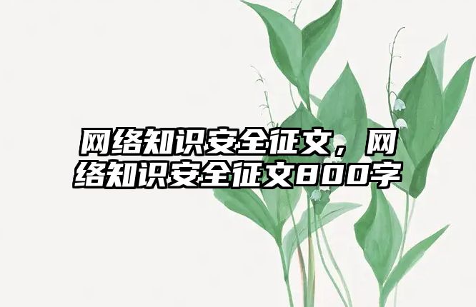 網絡知識安全征文，網絡知識安全征文800字