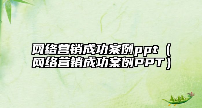 網(wǎng)絡(luò)營銷成功案例ppt（網(wǎng)絡(luò)營銷成功案例PPT）