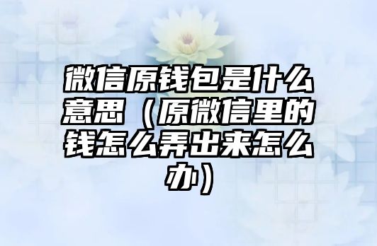 微信原錢包是什么意思（原微信里的錢怎么弄出來(lái)怎么辦）