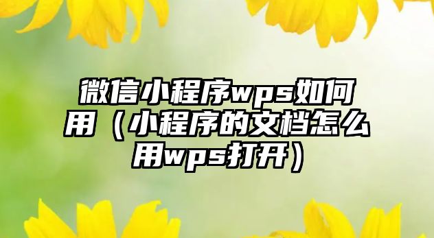 微信小程序wps如何用（小程序的文檔怎么用wps打開）