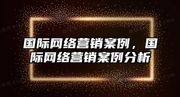 國際網(wǎng)絡(luò)營銷案例，國際網(wǎng)絡(luò)營銷案例分析