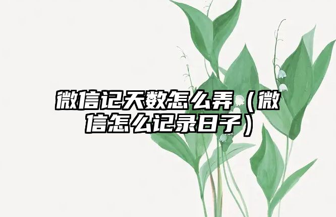 微信記天數(shù)怎么弄（微信怎么記錄日子）