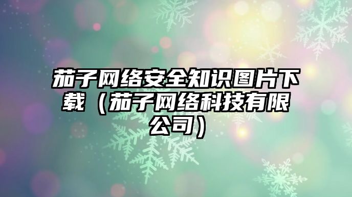 茄子網(wǎng)絡(luò)安全知識圖片下載（茄子網(wǎng)絡(luò)科技有限公司）