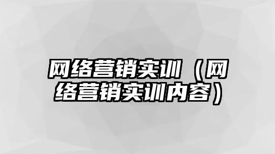 網(wǎng)絡(luò)營銷實訓(xùn)（網(wǎng)絡(luò)營銷實訓(xùn)內(nèi)容）