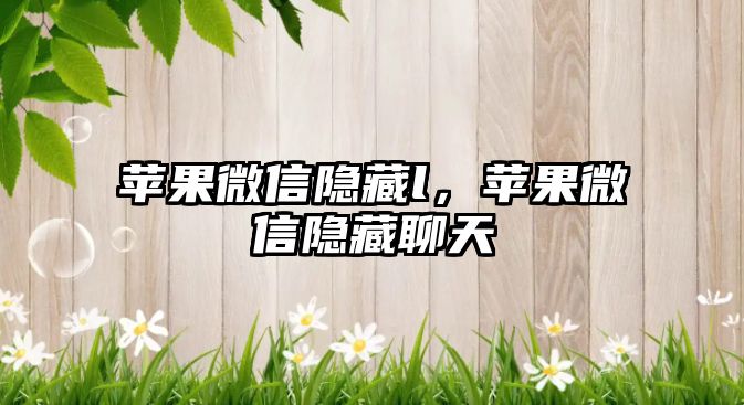 蘋(píng)果微信隱藏l，蘋(píng)果微信隱藏聊天