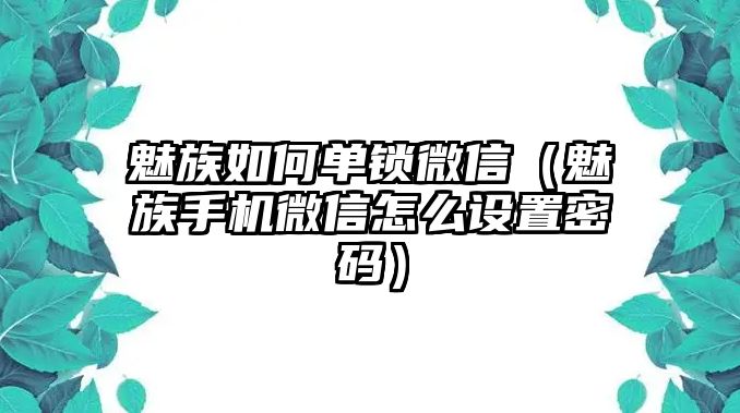 魅族如何單鎖微信（魅族手機(jī)微信怎么設(shè)置密碼）