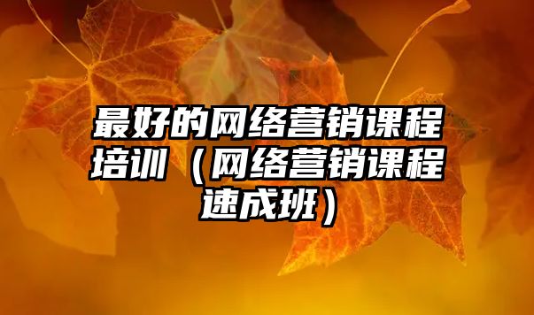 最好的網(wǎng)絡(luò)營(yíng)銷課程培訓(xùn)（網(wǎng)絡(luò)營(yíng)銷課程速成班）