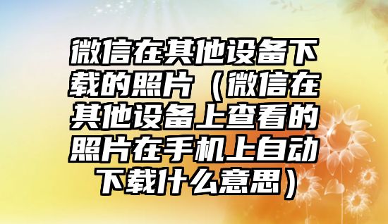 微信在其他設(shè)備下載的照片（微信在其他設(shè)備上查看的照片在手機上自動下載什么意思）