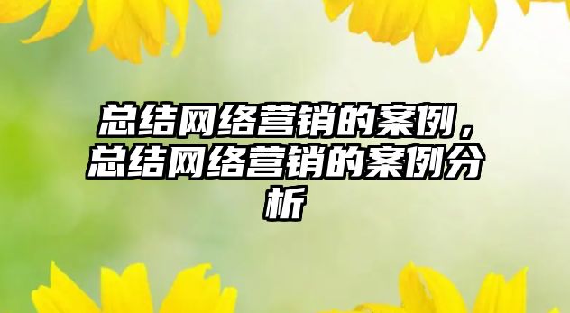 總結網絡營銷的案例，總結網絡營銷的案例分析