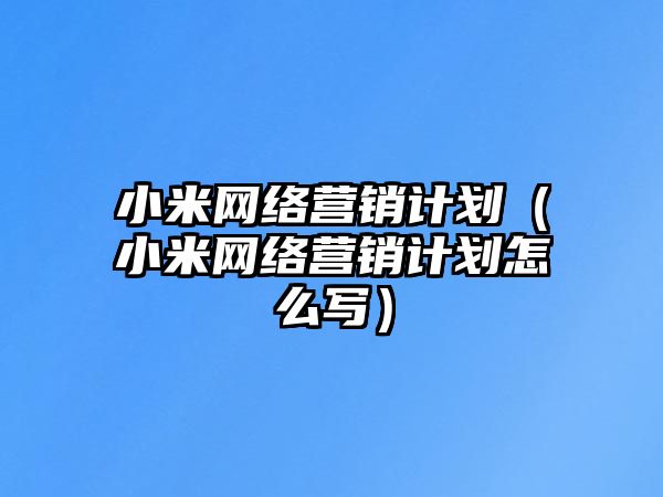 小米網(wǎng)絡營銷計劃（小米網(wǎng)絡營銷計劃怎么寫）