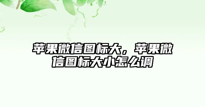 蘋果微信圖標大，蘋果微信圖標大小怎么調(diào)