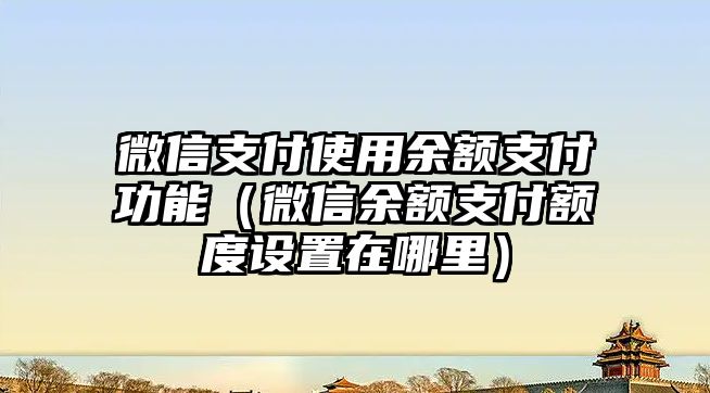 微信支付使用余額支付功能（微信余額支付額度設(shè)置在哪里）