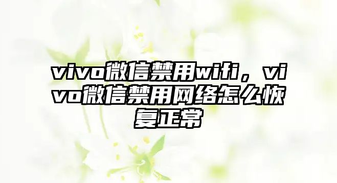 vivo微信禁用wifi，vivo微信禁用網(wǎng)絡(luò)怎么恢復(fù)正常