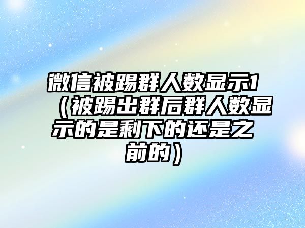 微信被踢群人數(shù)顯示1（被踢出群后群人數(shù)顯示的是剩下的還是之前的）