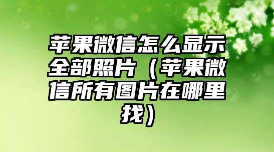 蘋果微信怎么顯示全部照片（蘋果微信所有圖片在哪里找）