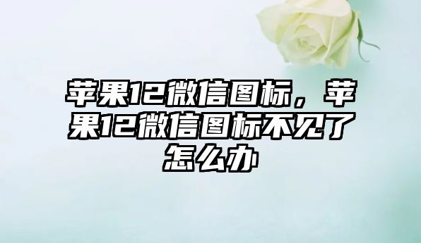 蘋果12微信圖標(biāo)，蘋果12微信圖標(biāo)不見了怎么辦