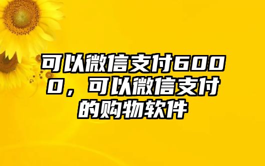 可以微信支付6000，可以微信支付的購(gòu)物軟件