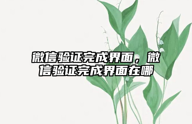 微信驗(yàn)證完成界面，微信驗(yàn)證完成界面在哪