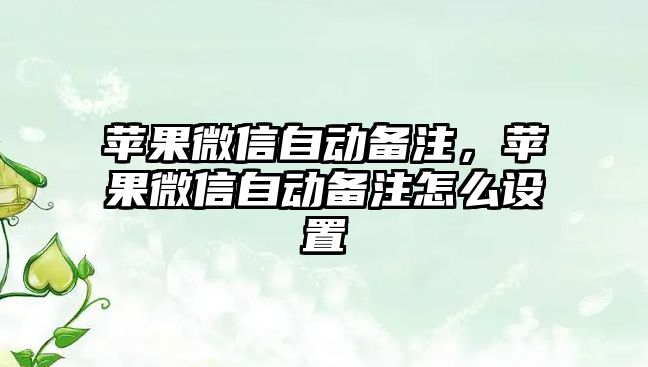 蘋果微信自動備注，蘋果微信自動備注怎么設(shè)置