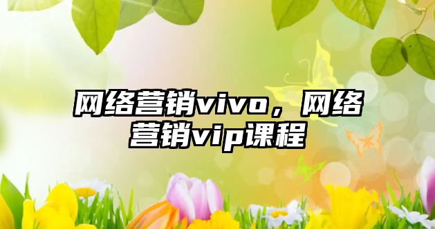 網(wǎng)絡(luò)營銷vivo，網(wǎng)絡(luò)營銷vip課程