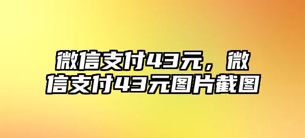 微信支付43元，微信支付43元圖片截圖