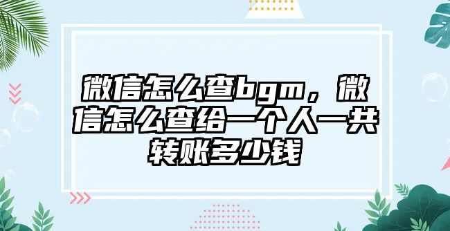 微信怎么查bgm，微信怎么查給一個(gè)人一共轉(zhuǎn)賬多少錢