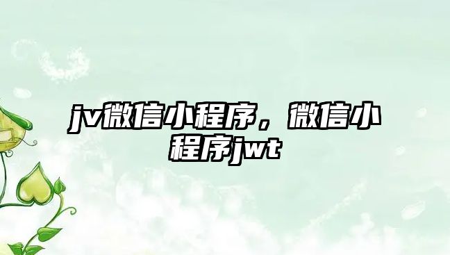 jv微信小程序，微信小程序jwt