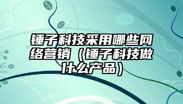 錘子科技采用哪些網(wǎng)絡(luò)營銷（錘子科技做什么產(chǎn)品）