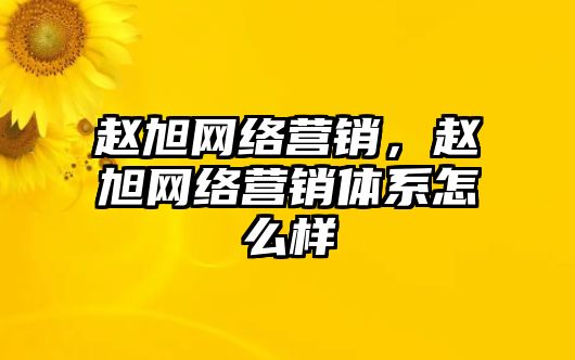 趙旭網(wǎng)絡(luò)營(yíng)銷(xiāo)，趙旭網(wǎng)絡(luò)營(yíng)銷(xiāo)體系怎么樣