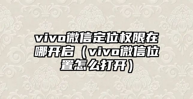 vivo微信定位權(quán)限在哪開啟（vivo微信位置怎么打開）