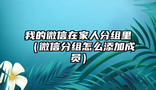 我的微信在家人分組里（微信分組怎么添加成員）