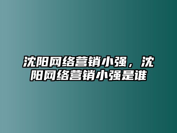 沈陽網(wǎng)絡(luò)營(yíng)銷小強(qiáng)，沈陽網(wǎng)絡(luò)營(yíng)銷小強(qiáng)是誰