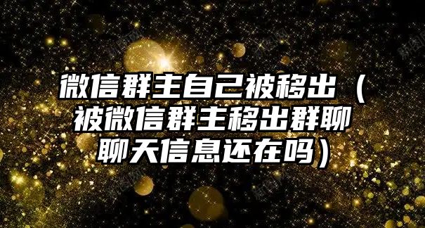 微信群主自己被移出（被微信群主移出群聊聊天信息還在嗎）