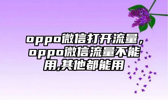 oppo微信打開(kāi)流量，oppo微信流量不能用,其他都能用