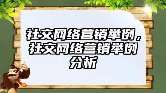 社交網(wǎng)絡(luò)營(yíng)銷舉例，社交網(wǎng)絡(luò)營(yíng)銷舉例分析