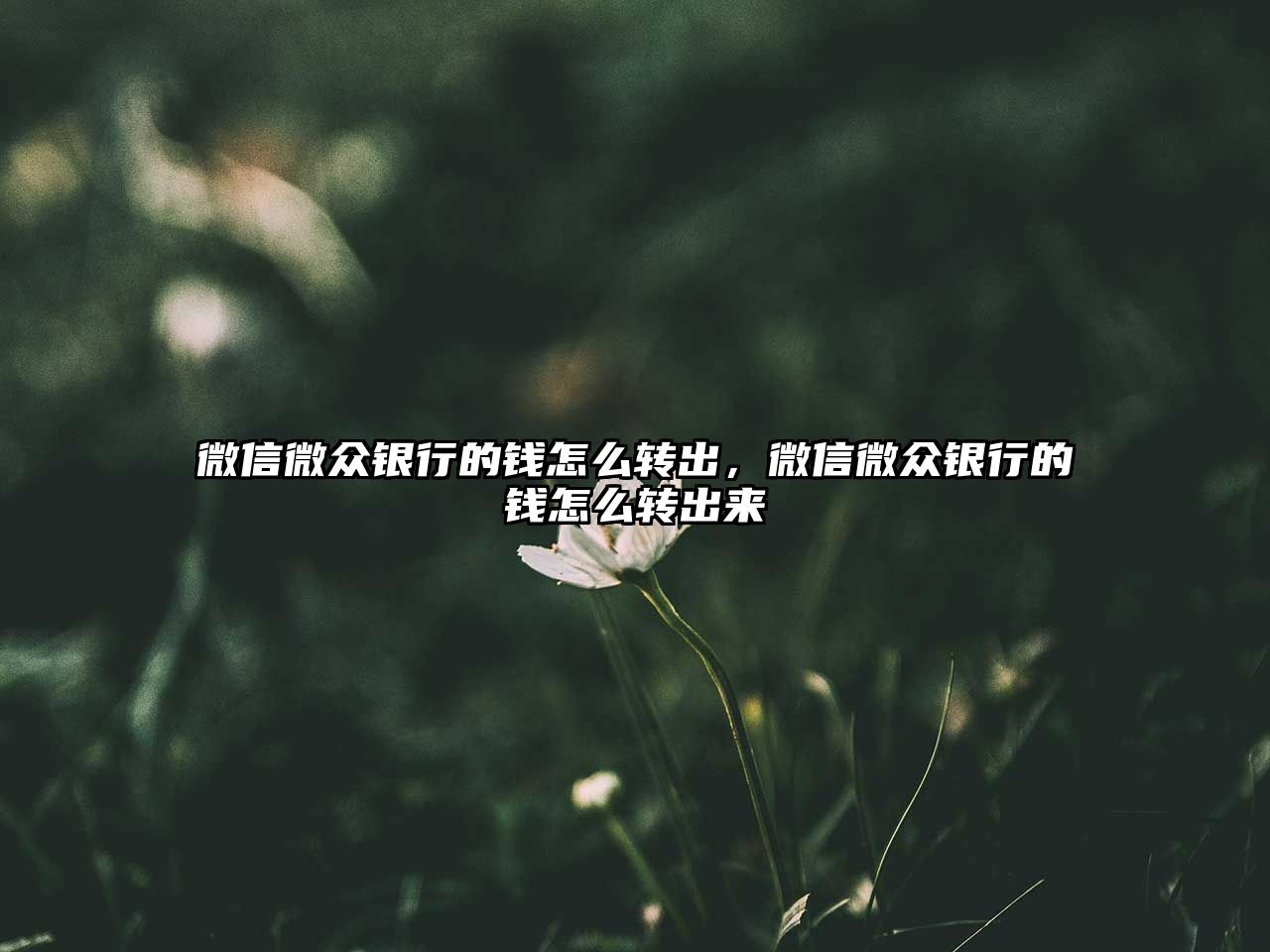 微信微眾銀行的錢怎么轉(zhuǎn)出，微信微眾銀行的錢怎么轉(zhuǎn)出來(lái)