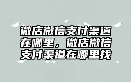 微店微信支付渠道在哪里，微店微信支付渠道在哪里找