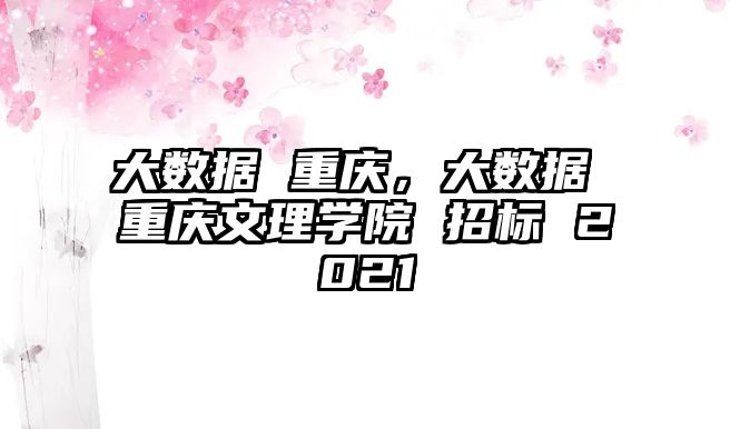 大數(shù)據(jù) 重慶，大數(shù)據(jù) 重慶文理學(xué)院 招標 2021